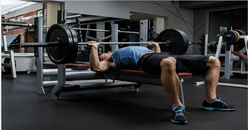 weight bench workouts