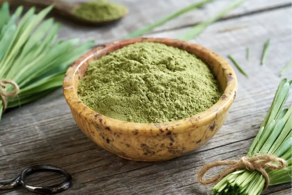 Organic Wheat Grass Powder